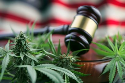 Starting a Cannabis Business in NY? Here’s Why You Need a Cannabis Lawyer