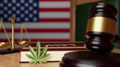 The Benefits of Choosing a Boutique Law Firm for Cannabis Legal Support