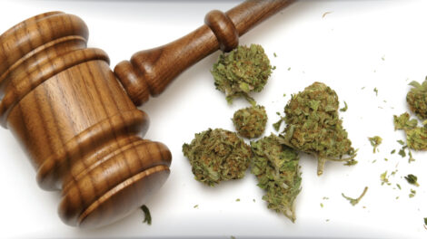 Why Choose a Boutique Law Firm for Your Cannabis Legal Needs in NJ?
