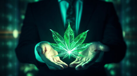 Cannabis Startups: 5 Legal Mistakes That Could Cost You Big
