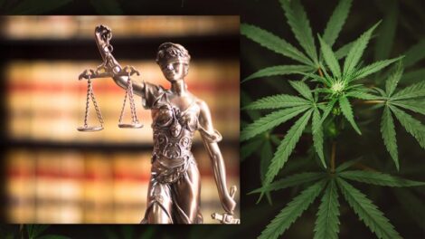 Is Your Cannabis Business Truly Compliant? Most Aren’t — Here’s Why That Matters