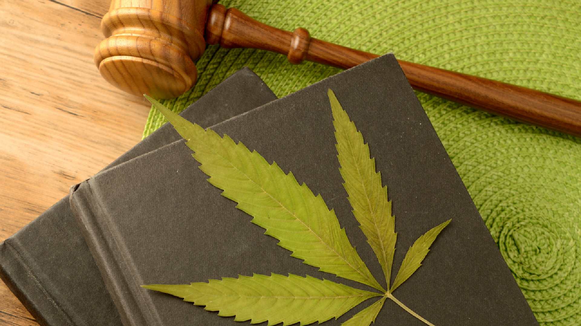 How General Counsel Supports Cannabis Business Growth 1