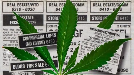 Why Zoning Is the Biggest Risk in Cannabis Real Estate