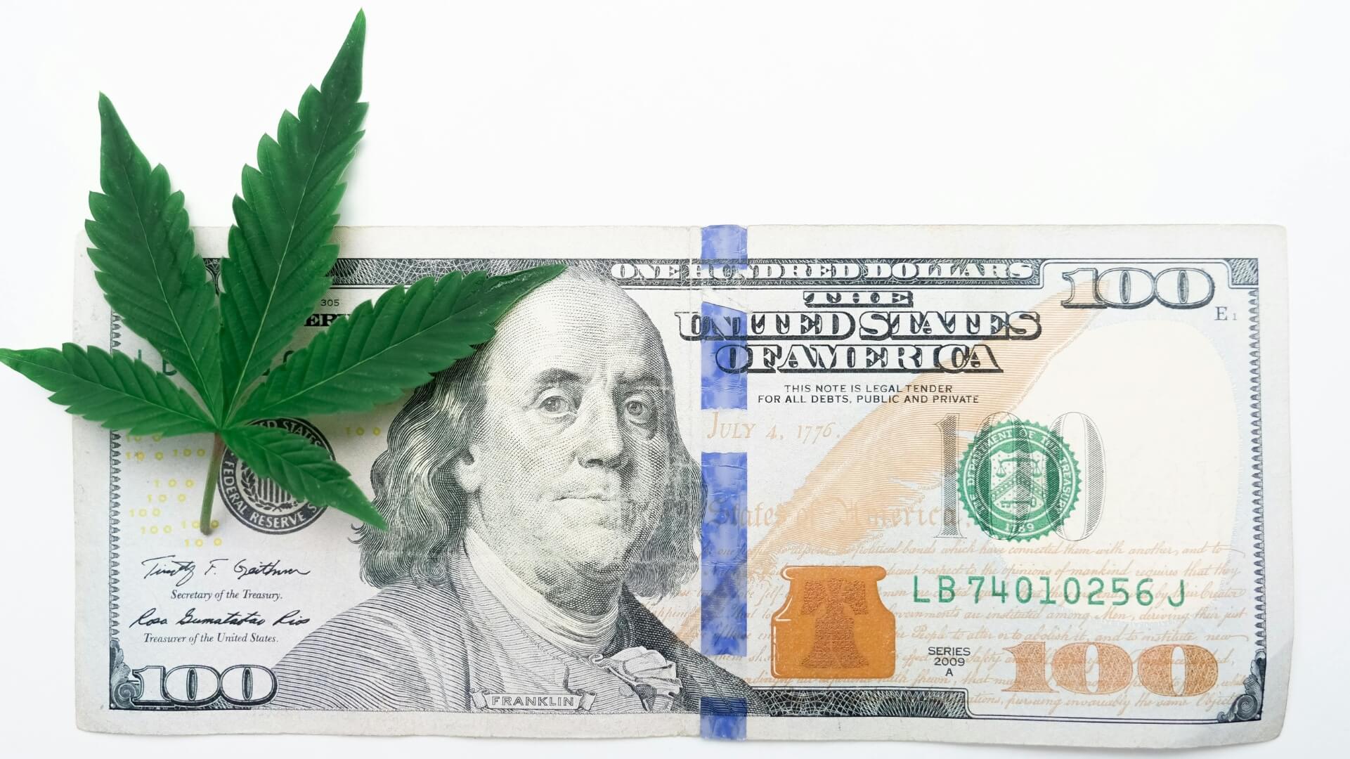 Cannabis Licensing 101